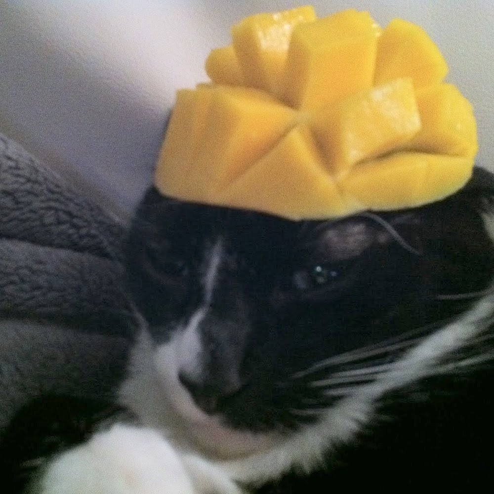 Meet your Posher, Melissa